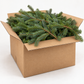 25 lb Box of Fresh Douglas Fir Boughs