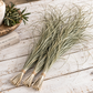 Dried Beargrass Bunches