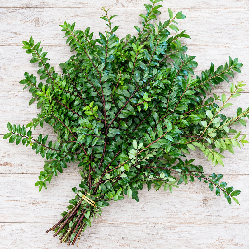Fresh Green Huckleberry (Huck) — 10-Stem Bunch