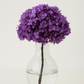 Large Bleached, Preserved Violet Hydrangeas