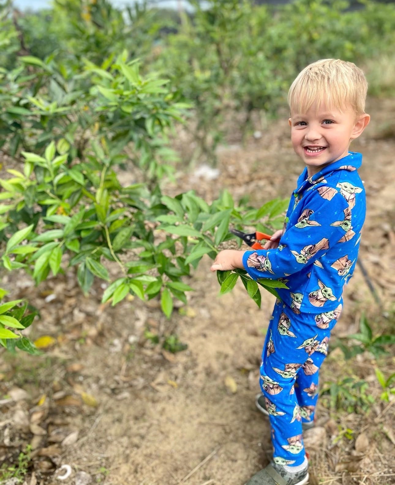 Kids helping pack greenery