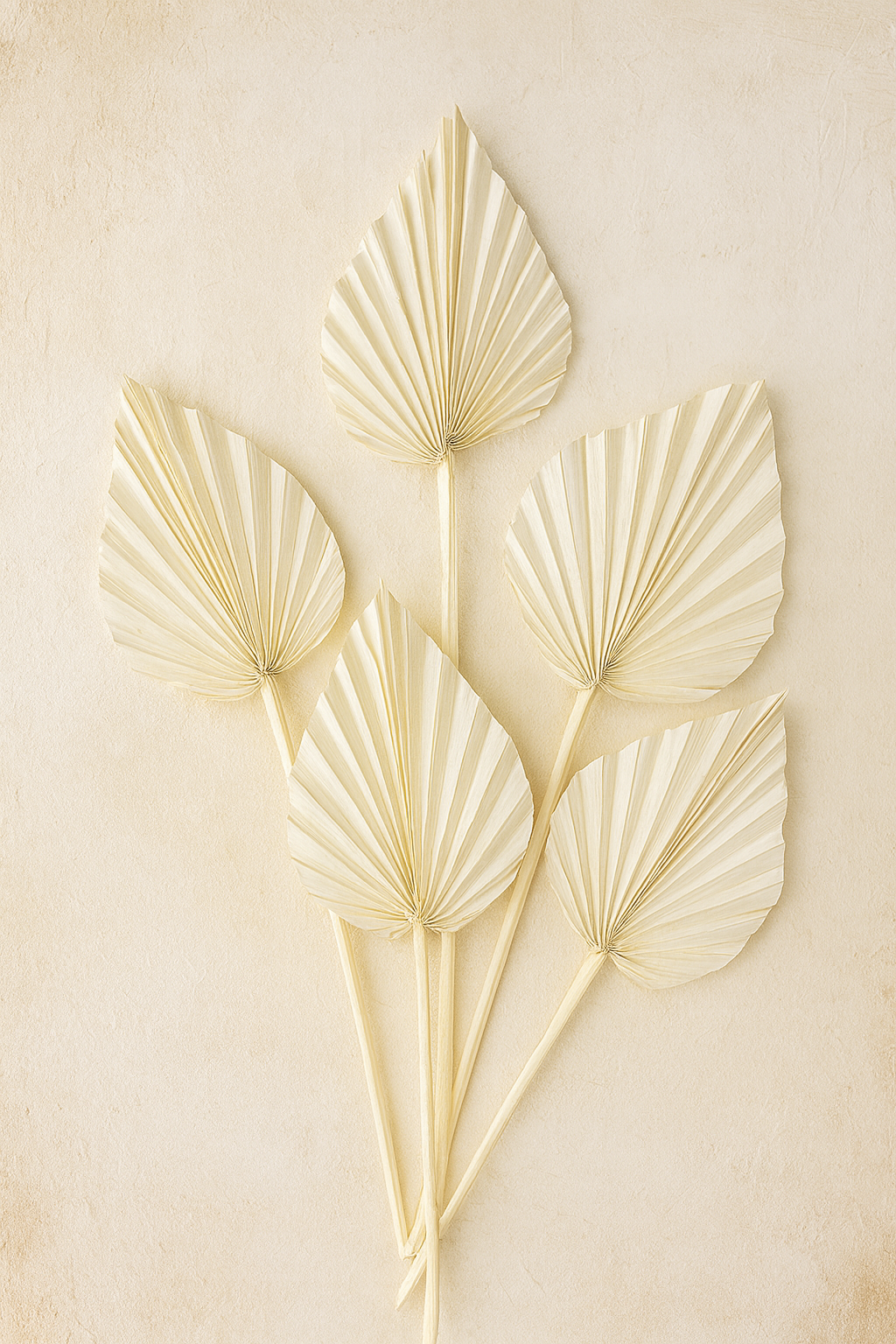 Dried Palm Spears -