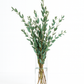 DIY Wedding Greenery Kit – Eucalyptus Collection