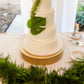 Monstera Leaf