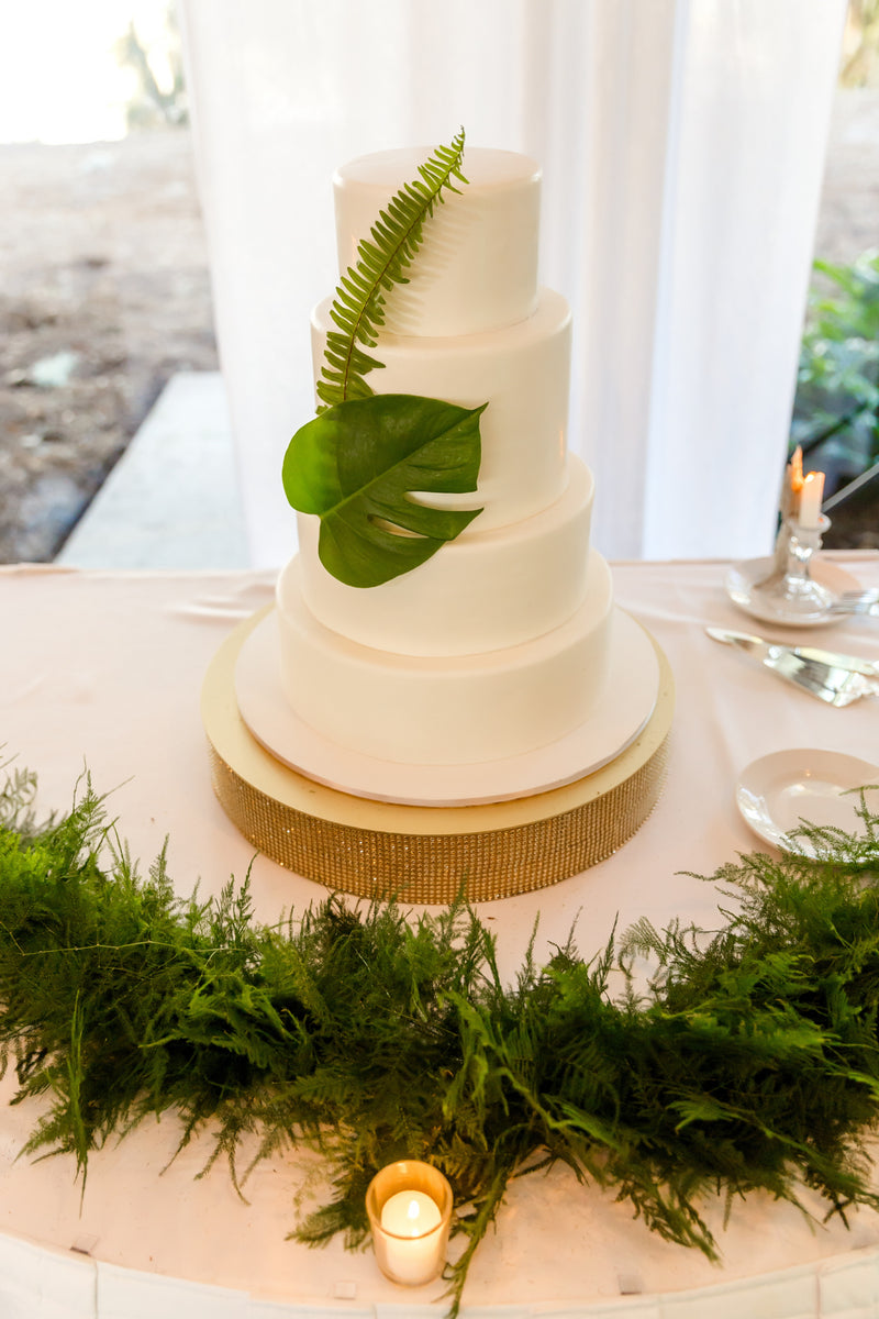 Monstera Leaf