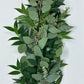 Nagi, Silver Dollar, and Seeded Eucalyptus Garland