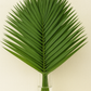 Teepee Palm Foliage Bunches – 15 Stems (28–30") | The Garland Guy