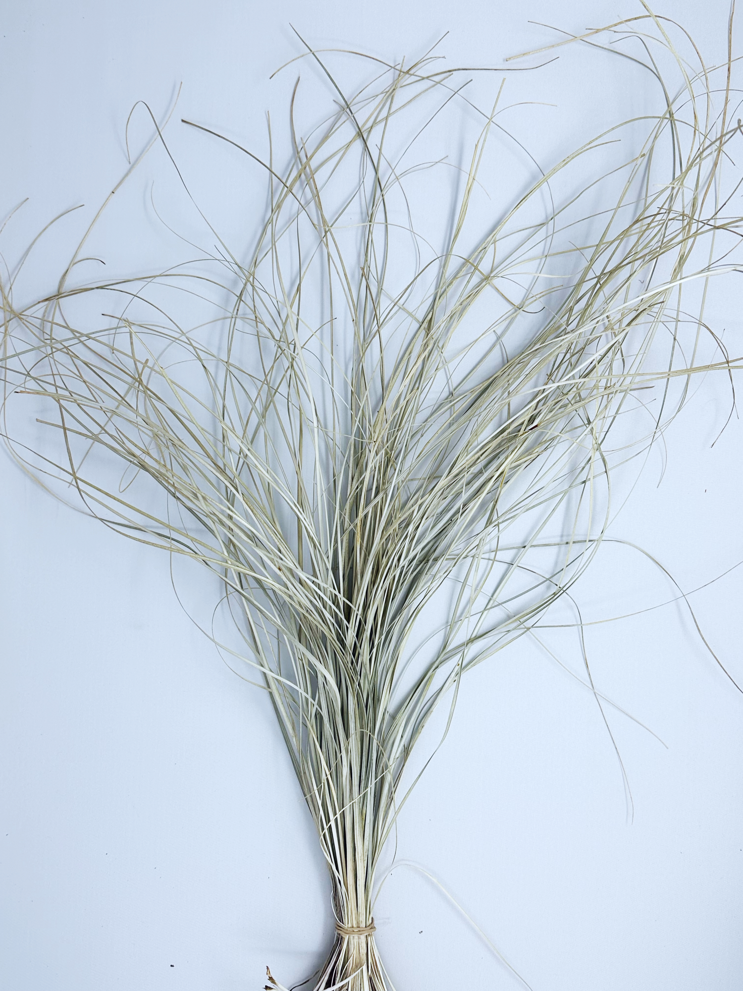 Dried Beargrass Bunches