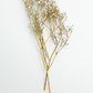 Dried Baby's Breath