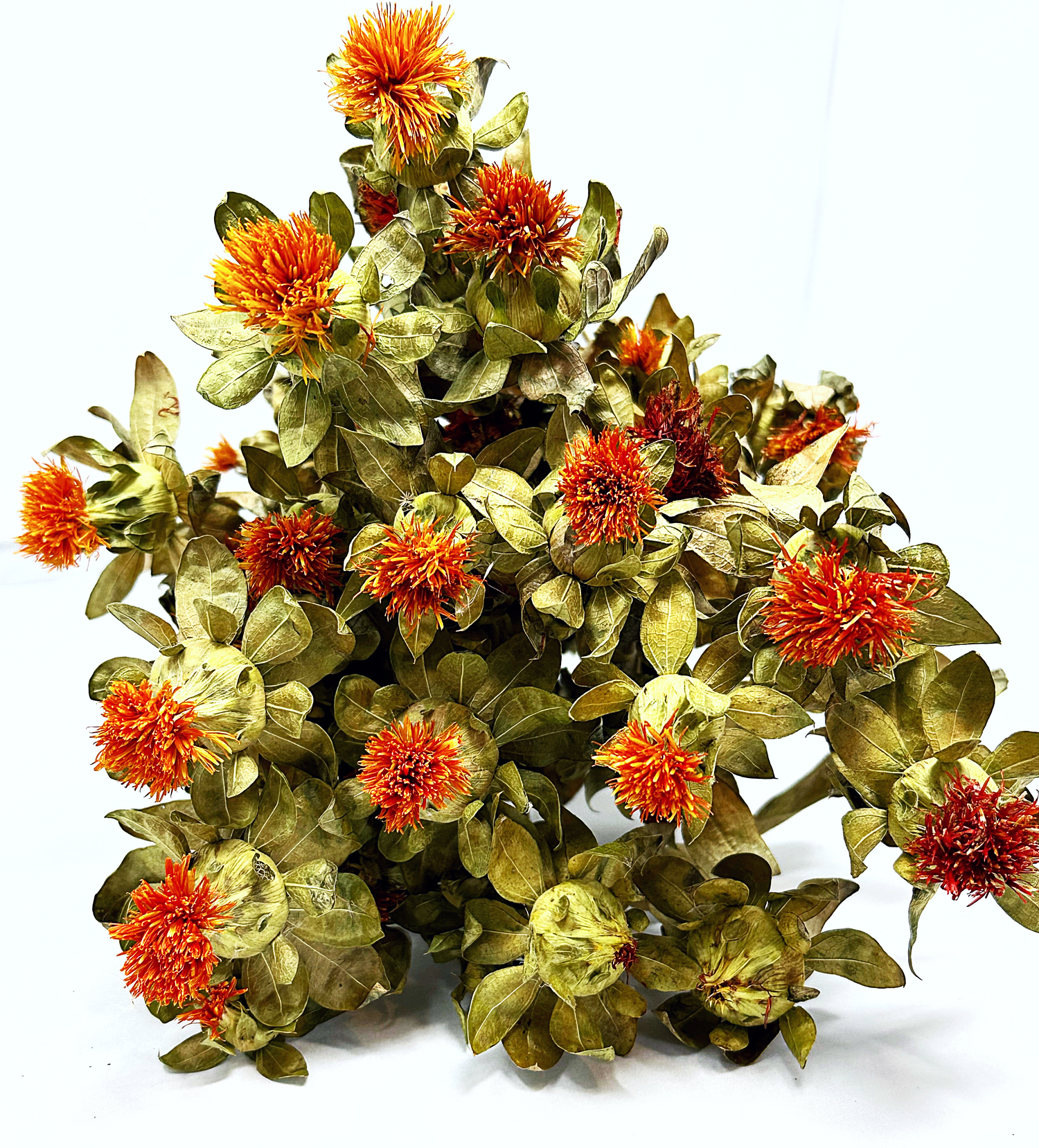 Dried Safflower