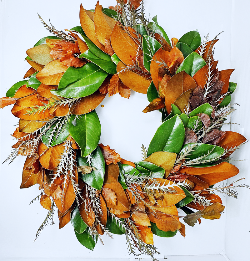 Magnolia, Grevelia, Copper Beech Foliage Wreath