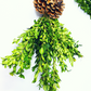 Mini Boxwood Swags with Cones