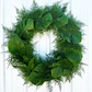 Plumosus & Monstera Wreath