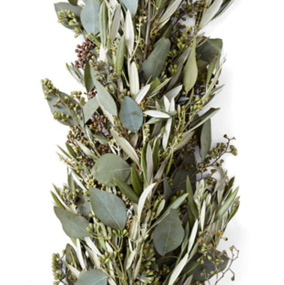 Olive Leaf and Seeded Eucalyptus Garland