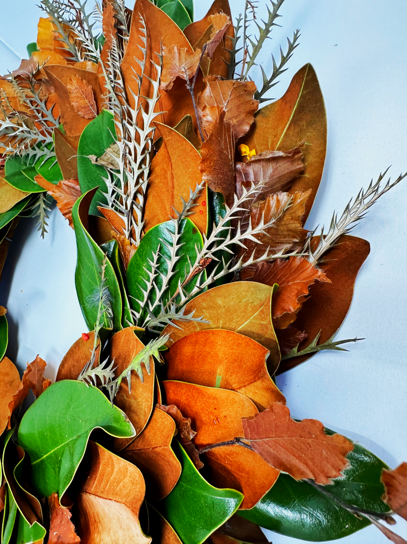 Magnolia, Grevelia, Copper Beech Foliage Wreath