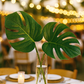 Monstera Leaf