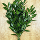 Nagi Foliage Bunches – Elegant, Hardy Greenery for Every Occasion 🌿- Top Seller