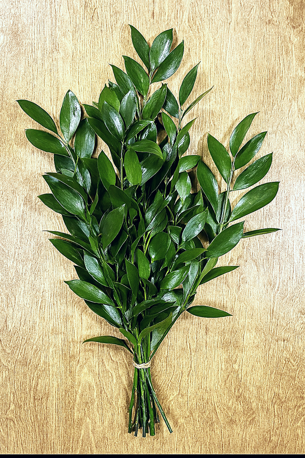 Nagi Foliage Bunches – Elegant, Hardy Greenery for Every Occasion 🌿- Top Seller