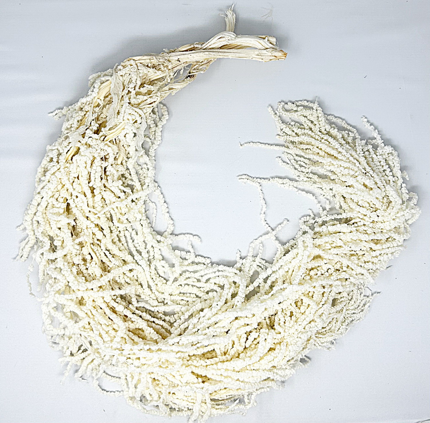 Bleached White Hanging Amaranthus- BEAUTIFUL!!!