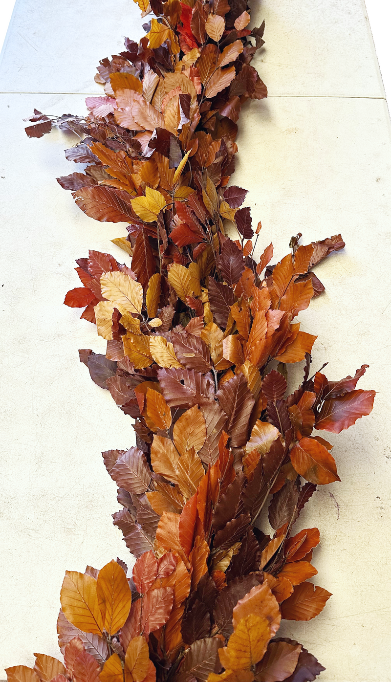 Copper Beech Garland | Fall Designer Collection, Thanksgiving Décor & Weddings, Fall Centerpieces