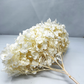 White Bleached Preserved Hydrangeas