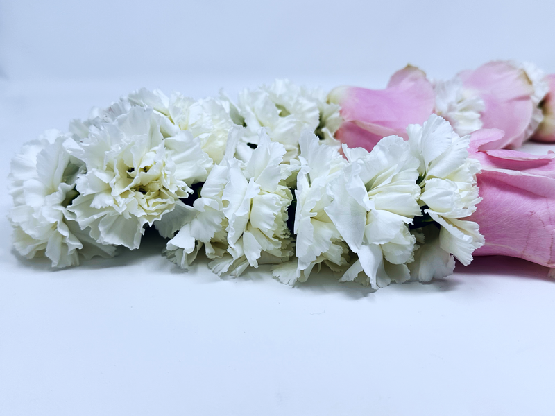 Pink Mondial Roses Blended with White Playa Blanca Rose and White Carnation - Flower Garland & Mala