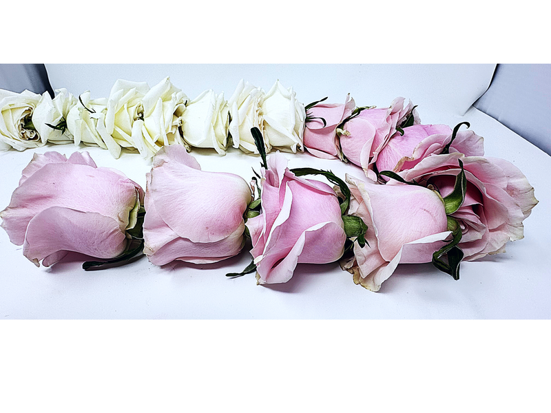 White Playa Blanca Rose & Pink Mondial Roses - Garland & Mala