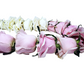 White Playa Blanca Rose & Pink Mondial Roses - Garland & Mala