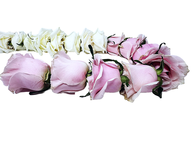 White Playa Blanca Rose & Pink Mondial Roses - Garland & Mala