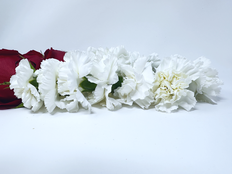 Red Freedom Rose, White Playa Blanca Rose & White Carnation- Flower Garland & Mala