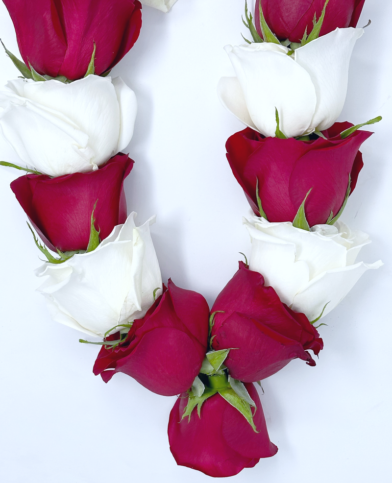 Classic Red Freedom Roses with Playa Blanca Roses Flower Garland, Mala & Lei