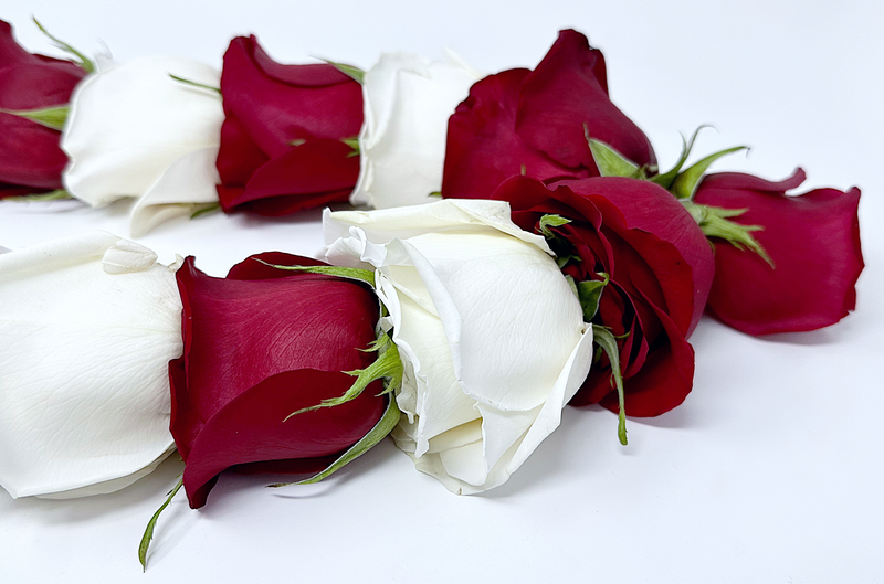 Classic Red Freedom Roses with Playa Blanca Roses Flower Garland, Mala & Lei