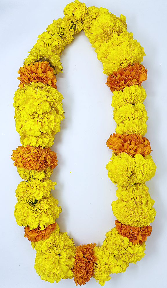 garland orange marigold seeds Gorgeous Yellow Marigolds Blended with Orange Marigolds- Traditional Flower Garland Used for Mala & Lei