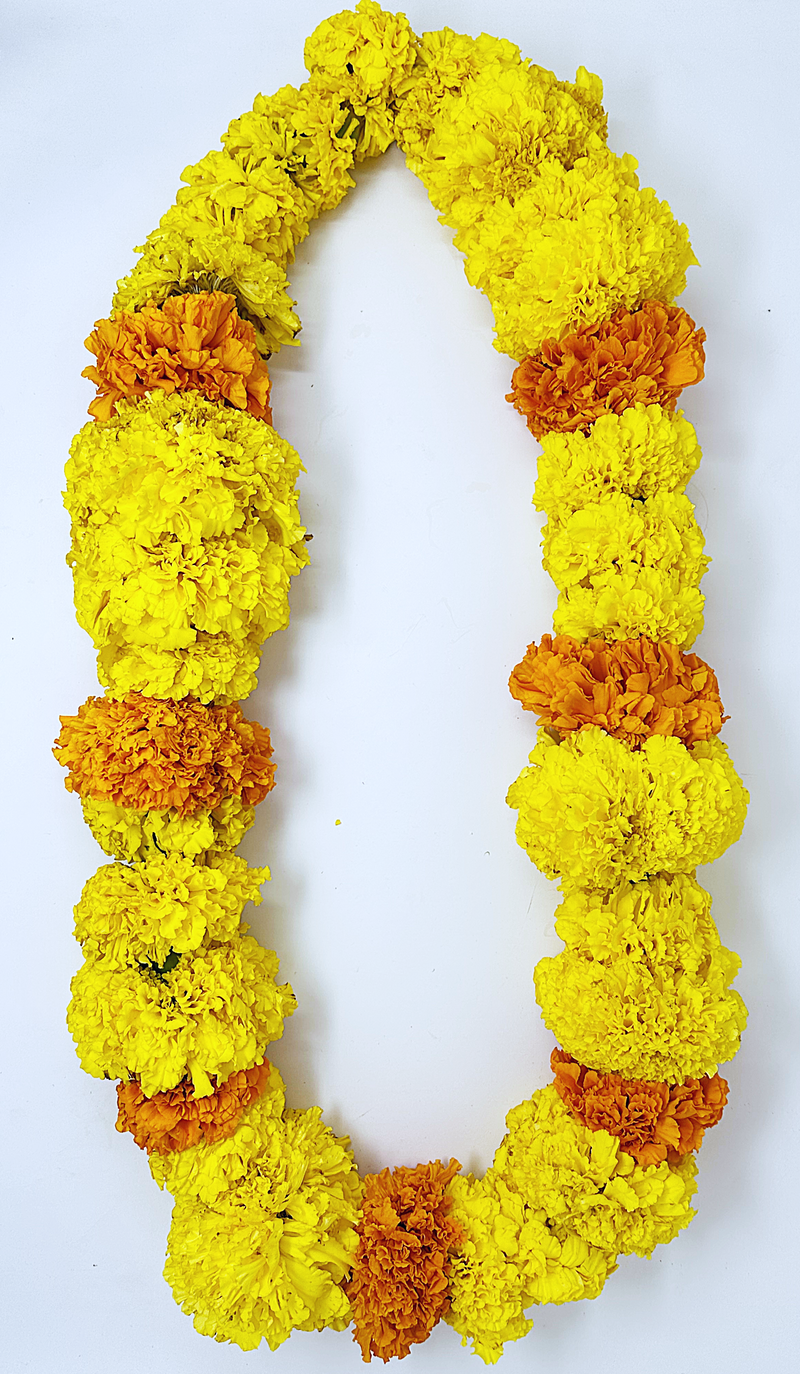 Gorgeous Yellow Marigolds Blended with Orange Marigolds- Traditional Flower Garland Used for Mala & Lei