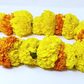 Gorgeous Yellow Marigolds Blended with Orange Marigolds- Traditional Flower Garland Used for Mala & Lei