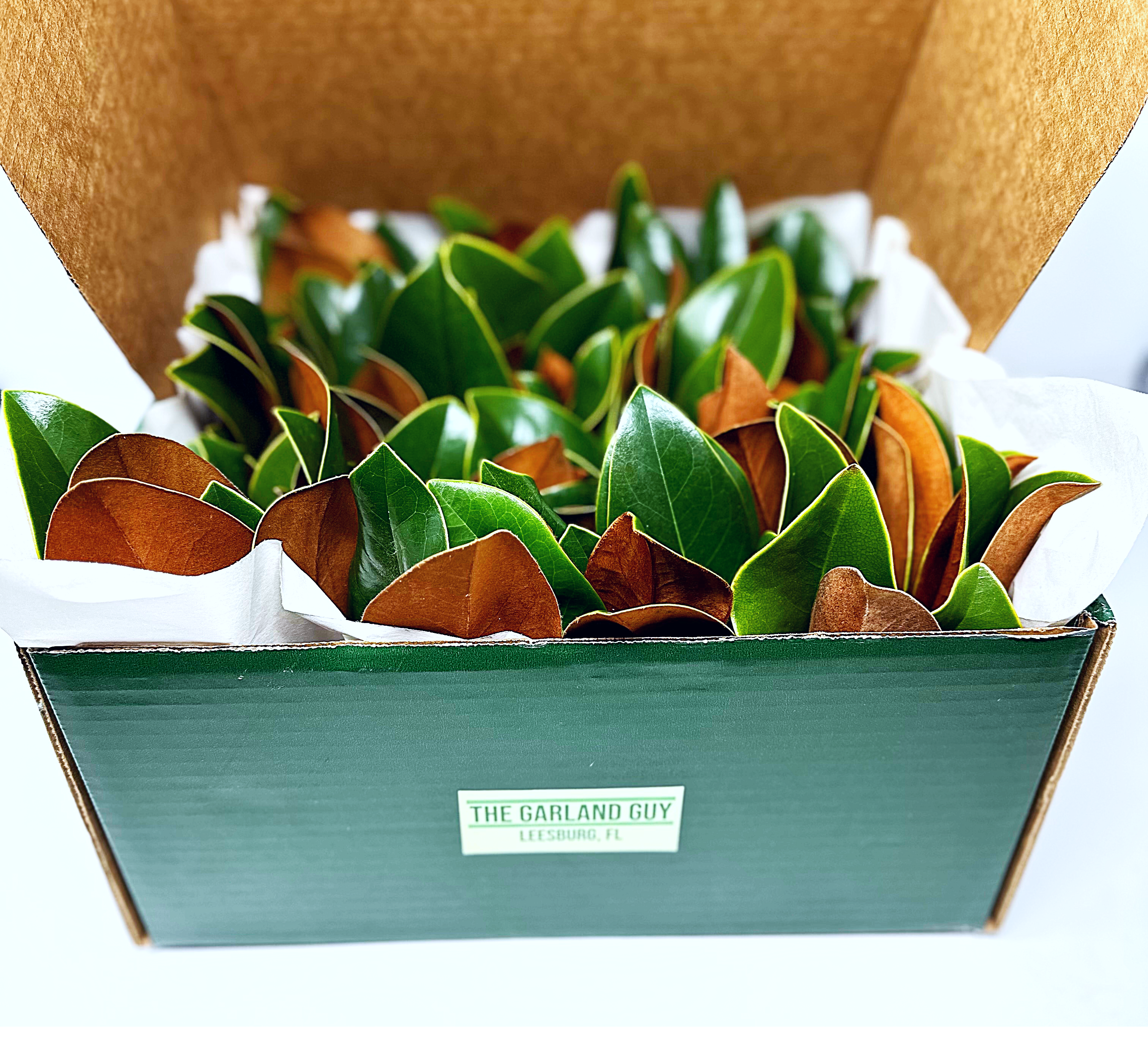 Magnolia Greens Box DIY Kit – The Garland Guy