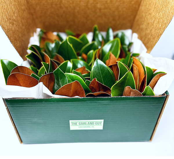 Magnolia Greens Box DIY Kit