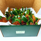 The Grand Magnolia Set — Wreath + Garland + Swags + Bunches + Leaves| Thanksgiving Decor