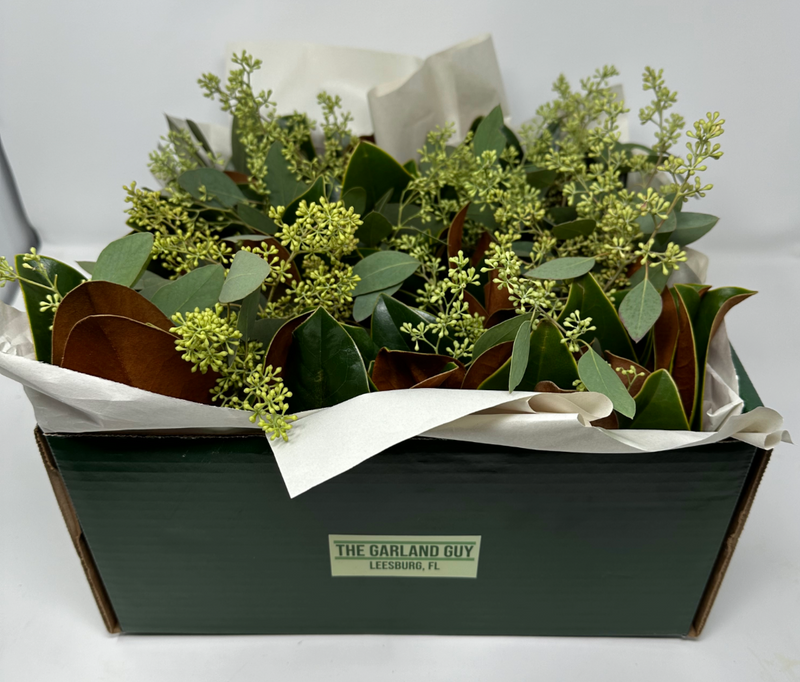 Magnolia & Seeded Eucalyptus Greens Box DIY Kit