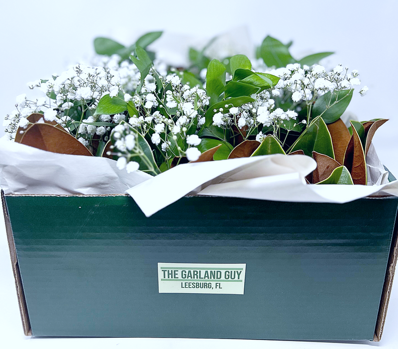 Magnolia, Israeli/Florida Ruscus & Babys Breath DIY Greenery Box