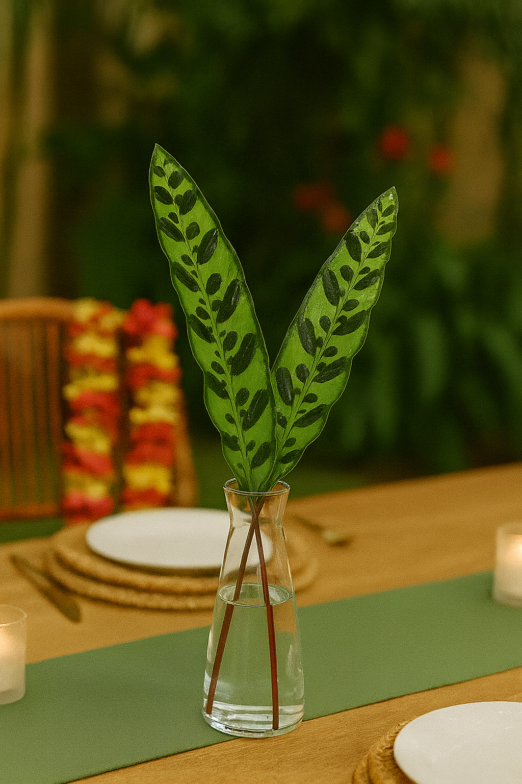 Rattle Snake Calathea Bunches