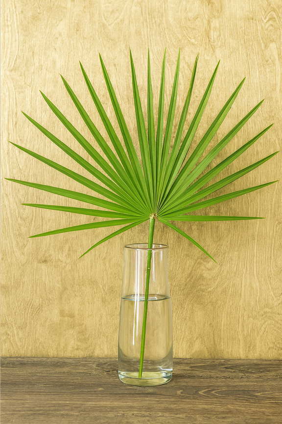 palm foliage plant Fan Palm (Palmetto Palm) Foliage Bunches – 5 Stems (22–26")