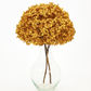 Large Bleached, Preserved Tan Hydrangeas