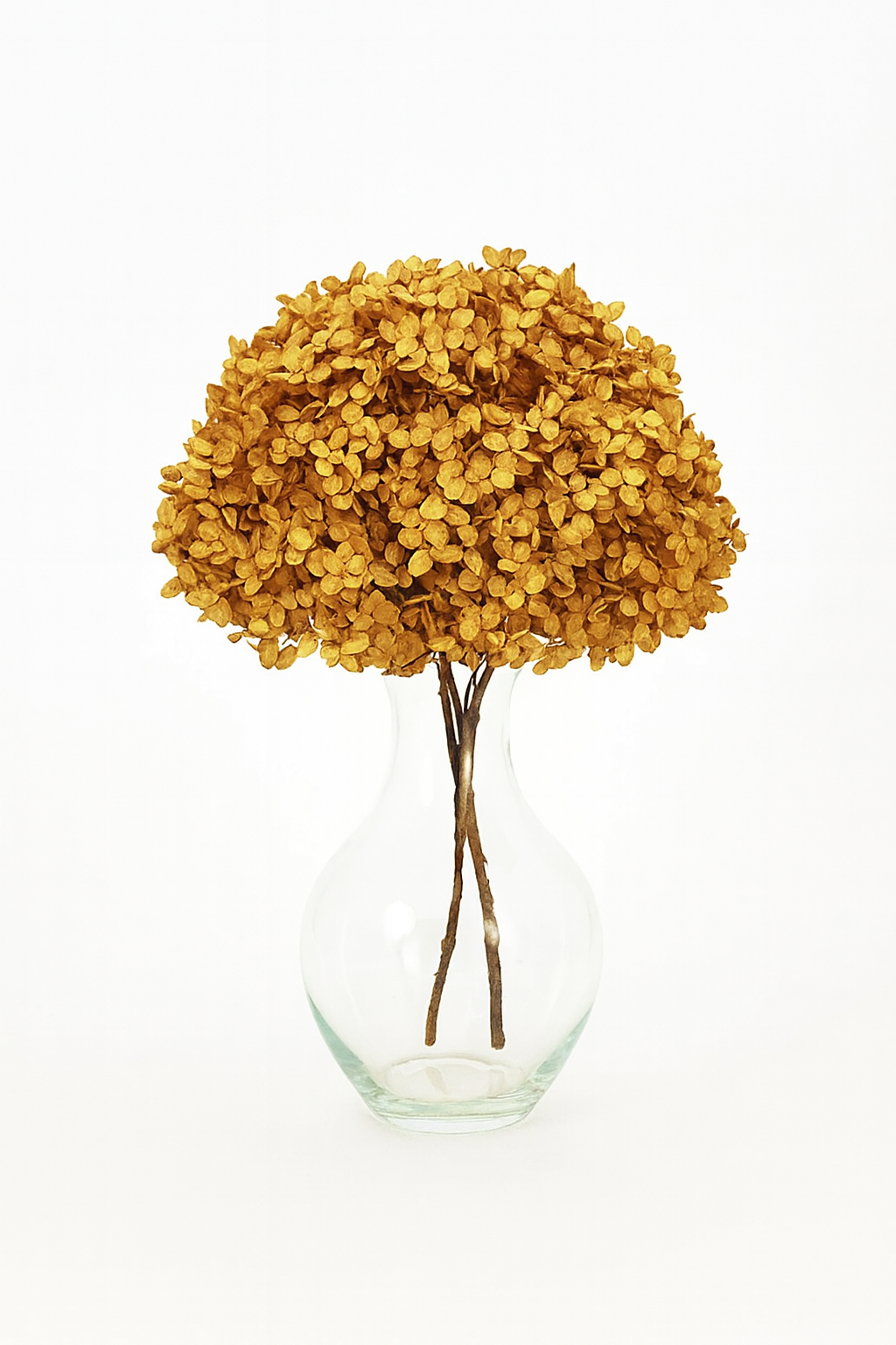 Large Bleached, Preserved Tan Hydrangeas