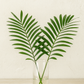 Fan Palm (Palmetto Palm) Foliage Bunches – 10 Stems (16–22")
