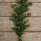 Italian Ruscus Bunches, 150 Gram – Fresh Greenery for Weddings, Events & Home Décor (5–6 Stems, 24–28")