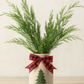 Florida Cedar Bunches