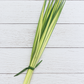 Fresh Palm Strips, Bundle of 50 | Natural Palm Leaves for Palm Sunday, Easter Services, Religious Celebrations & Decorative Use