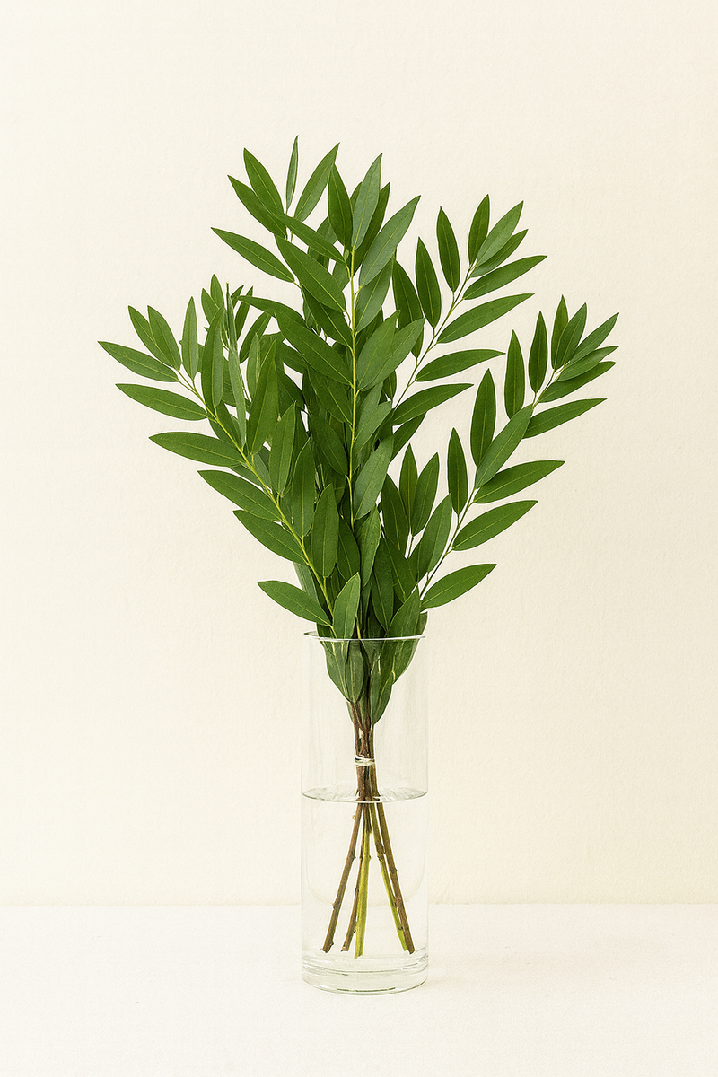 Fresh Bay Leaf Foliage (Laurus Nobilis, Laurel) – Premium Greenery 🌿✨