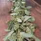 Seeded Eucalyptus Garland | 6 ft | Fresh Farm-Grown | Weddings, Tablescapes & Home Décor (TK)